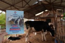 Denizli Büyükşehir’in Veteriner Danışmanlığı Üreticilerden Tam Not Aldı