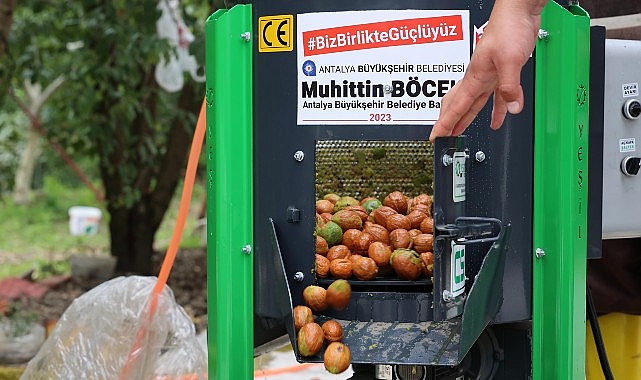 buyuksehirin ceviz soyma makineleri ureticilerin hizmetinde