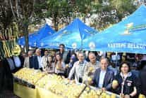 kartepede ayva festivali coskusu