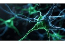 kaspersky windows server sistemlerini hedef alan passiveneuron siber casusluk operasyonunu ortaya cikardi