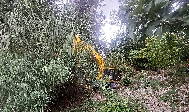 Kemer’de dere temizliği çalışmaları 1 kemerde dere temizligi calismalari