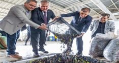 sezonun ilk zeytinyagi baskan tugaydan