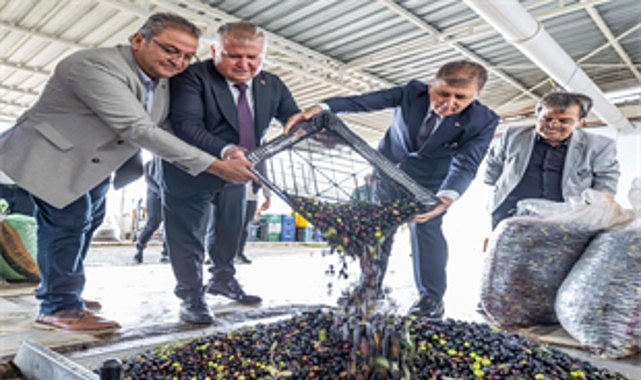 Sezonun ilk zeytinyağı Başkan Tugay’dan 1 sezonun ilk zeytinyagi baskan tugaydan