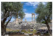 26 kasim dunya zeytin agaci gununde didim belediyesinden anlamli mesaj