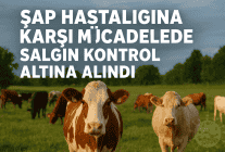 Şap Hastalığına Karşı Mücadelede Salgın Kontrol Altına Alındı!