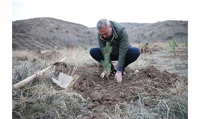 58 bin fidan muhsin yazicioglu vefa ormaninda toprakla bulustu