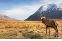 6 bolumluk seri avrupanin vahsi harikalari 15 kasimdan itibaren cumartesi gunleri 20 00de iki bolum art arda national geographic wild ekranlarinda