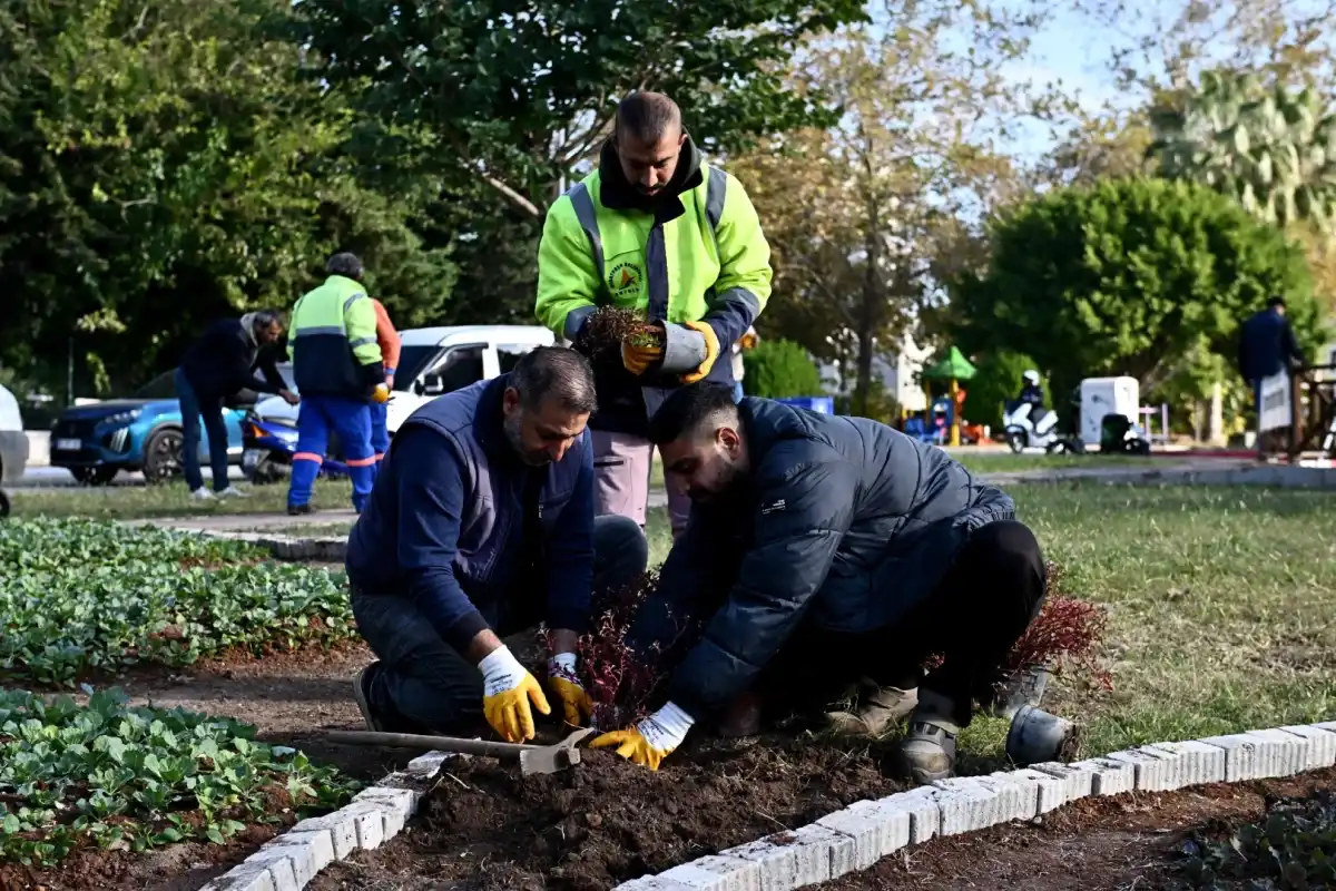 Trafik Parkı, Muratpaşa’da Çiçek Bahçesine Dönüştü