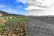 Mersin’de iklim ve yeşil dönüşüm çalışmaları öne çıkıyor