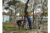 bakirkoy belediyesinden teke bocegine karsi etkin mucadele