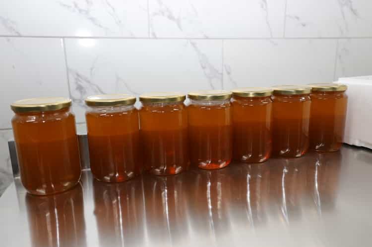 Artvin’de Apiterapi ve Bal Dolum Tesisi Açıldı