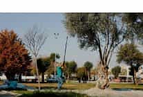 balcova belediyesinden kentin bereketine sahip cikan ornek calisma