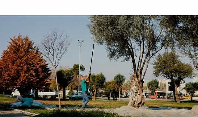 balcova belediyesinden kentin bereketine sahip cikan ornek calisma