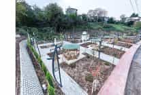 canikte park seferberligi park alanlari 144 bin metrekareye yukseldi