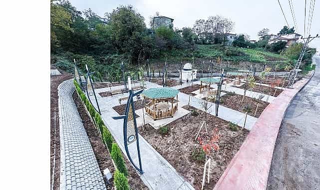 canikte park seferberligi park alanlari 144 bin metrekareye yukseldi