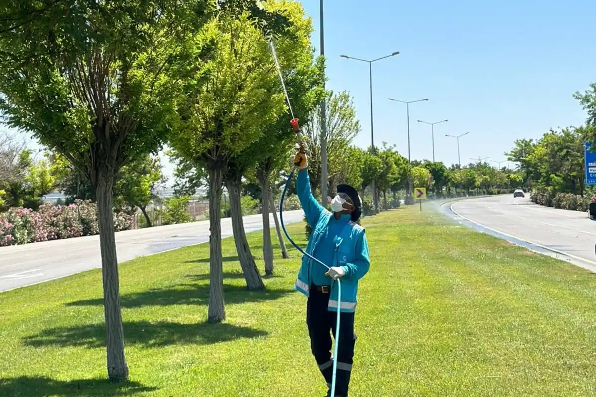 Gaziantep Büyükşehir’den Üvezle Mücadelede Yoğun İlaçlama 1 Gaziantep Büyükşehir’den Üvezle Mücadelede Yoğun İlaçlama