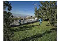 dilovasi millet bahcesi dip kose temizleniyor