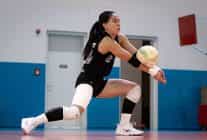 eczacibasi dynavit fenerbahce medicana macina hazir