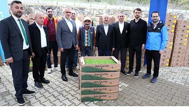 gebzeli ciftciye 500 bin sebze fidesi