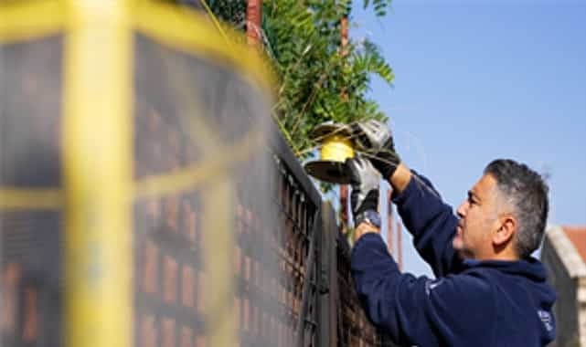 izmir buyuksehir belediyesinden karasinekle yogun mucadele