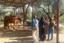 narlidere belediyesinden gonullulere tesekkur