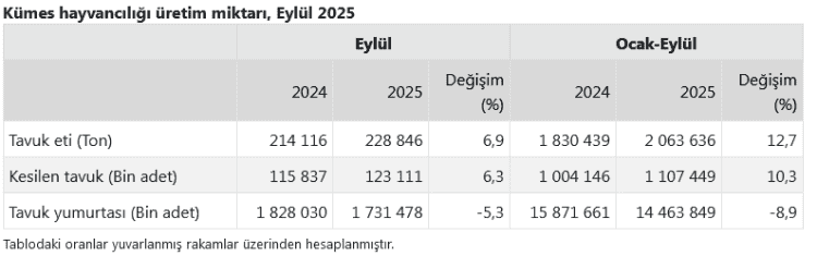 Tavuk Eti Üretimi Arttı, Yumurta Üretimi Geriledi