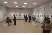 serginin geliri egitime destek dernegine