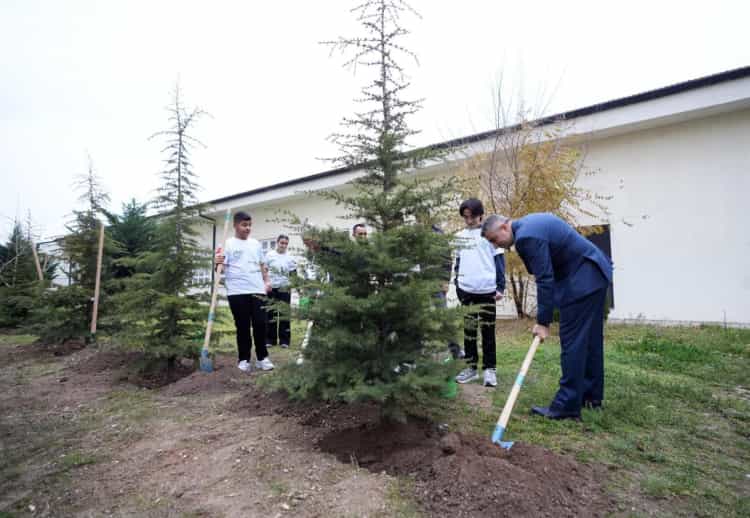 Ankara, 'Köklerden Geleceğe Nefes' Projesiyle Yeşeriyor