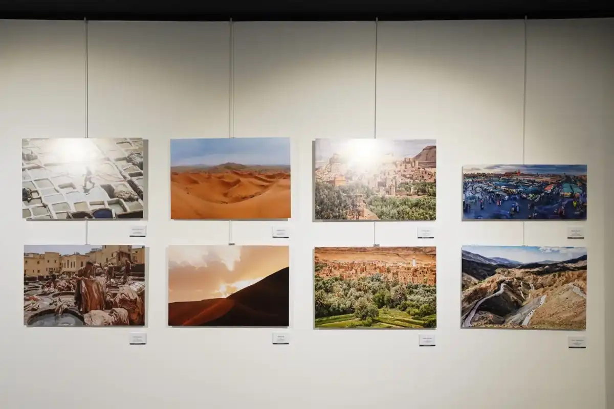 Beylikdüzü Belediyesi İFSAK Sergisine Ev Sahipliği Yapıyor