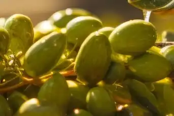 Marmarabirlik’te Üçüncü Dilim İçin Geri Sayım