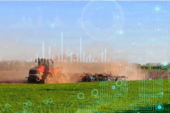 2025’te Bitkisel Üretimde Düşüş: TÜİK Verileri Açıklandı