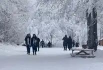 Ormanya, 2025’te Ziyaretçi Akınına Uğradı