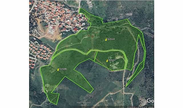 guzelbahceden tokiye sartli onay