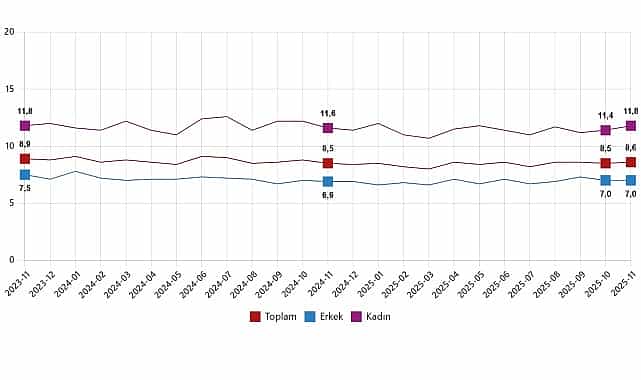isgucu istatistikleri kasim 2025