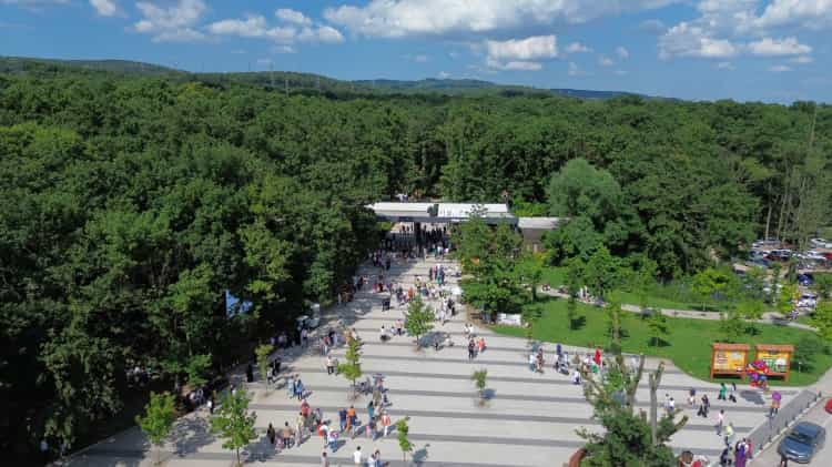 Ormanya, 2025’te Ziyaretçi Akınına Uğradı