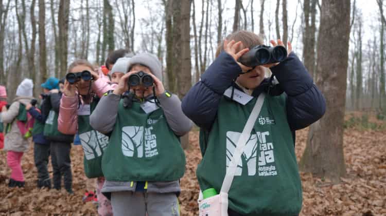 Ormanya, 2025’te Ziyaretçi Akınına Uğradı