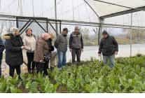 sayginlar kulubunun tarim keyfi