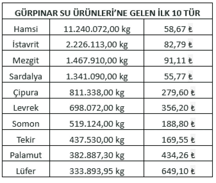 Av Sezonunun İlk Üç Ayında Hamsi Zirvede