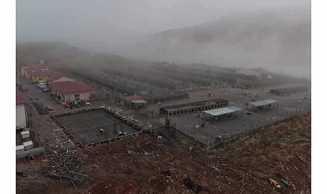 sokak hayvanlari icin modern saglikli ve dogal yasam projesi basladi