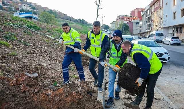 zumrutevlerin parklari geri donusumle yenileniyor