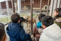 İzmir Büyükşehir Sokak Hayvanları İçin Seferber Oldu