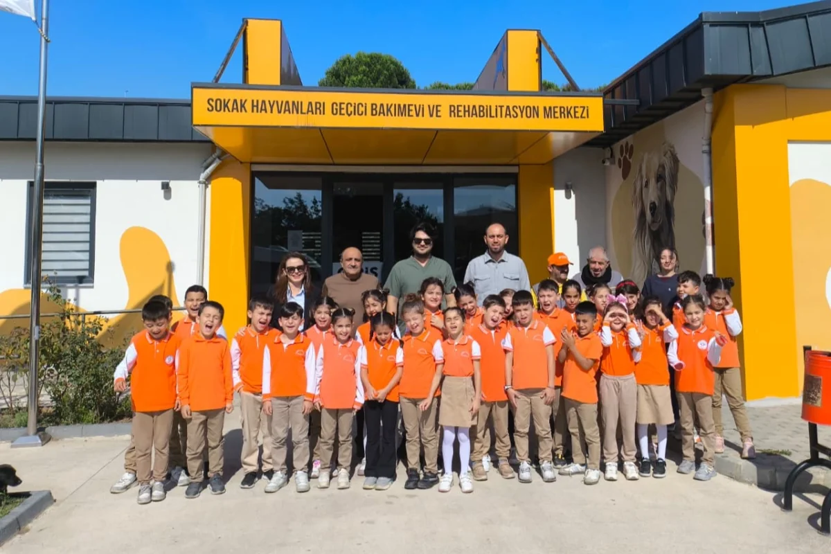 Çayırova Belediyesi 2025’te 328 Can Dosta Yuva Sağladı 1 Çayırova Belediyesi 2025’te 328 Can Dosta Yuva Sağladı