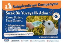 bayrampasada can dostlar yuvalarini bekliyor