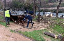 buyuksehir siddetli lodosa karsi teyakkuzda