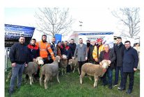 buyuksehirden ciftcilere 166 milyon tllik destek