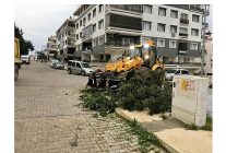 didim belediyesi ekipleri her kosulda sahada