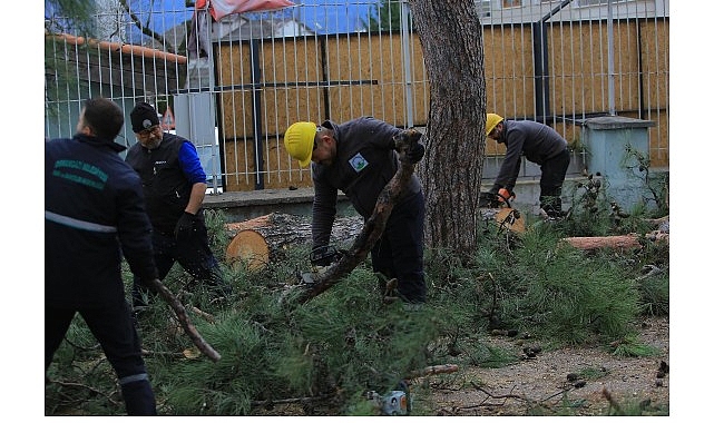 osmangazi belediyesinden lodosa karsi etkin mudahale